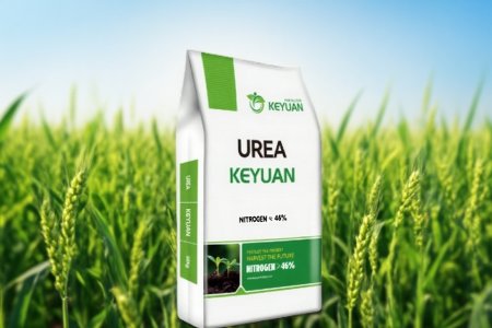 Analysis of the latest international urea market in June 2025