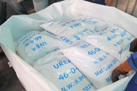 Strong Southeast Asia Demand for Nitrogen Fertilizers – Our Urea Leads the Way
