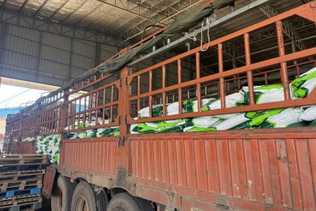 All-round fertilizer: NPK 15-15-15
