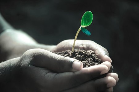 Global Fertilizer Trade Patterns Shift, Market Dynamics, and Policy Adjustments