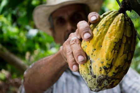 What determines whether crops grow well?