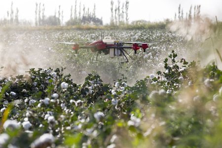 Holiday Fertilizer Market News