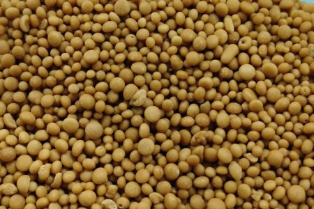 Characteristics and Application Techniques of High-Tower Granulated Compound Fertilizers