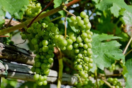 Do You Know the Taboos of Fertilization?