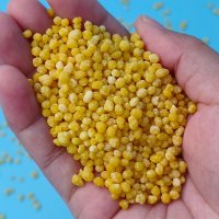 CAN 15-0-0+26% CaO，3