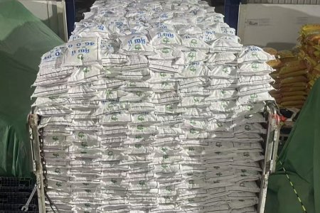 The Global Fertilizer Market Remained Robust at the End of 2025, With China Continuing to Lead in Exports