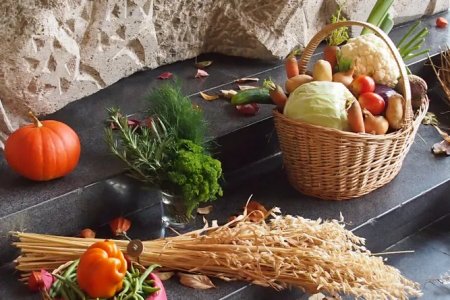 Scientific Fertilization: Clever Techniques