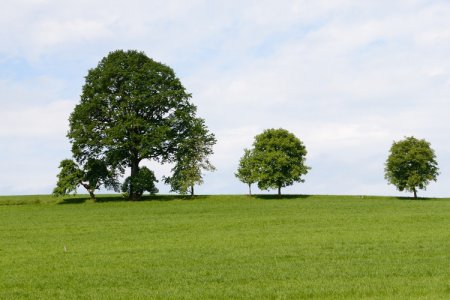 Fertilizer Market Ushers in a "Mini-Boom": Domestic Price Increases and International Supply Chain Restructuring Go Hand in Hand