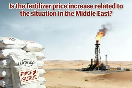 Fertilizer Market "High Heat" Warning: Market Analysis Amid March Geopolitical Conflicts