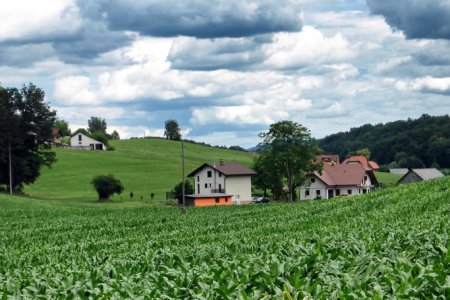 Global Fertilizer Shortage: What Gives China Confidence for a Calm Spring Ploughing?