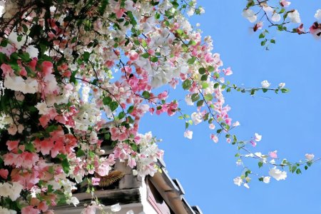 Global Supply Crisis, Chinese Market Remains Stable