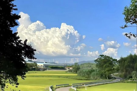 April 2026 Fertilizer Market and Policy Monthly Summary