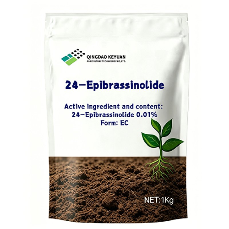 111未标题-1_0005_9，24-Epibrassinolide