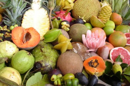 Thailand Trapped in Fertilizer Import Dilemma: Why It Grows More Dependent on Chinese Fertilizers?