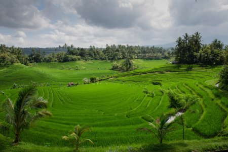 Double Blockages in Sulfur Supply to Keep Global Fertilizer Prices Volatile at High Levels in Q3